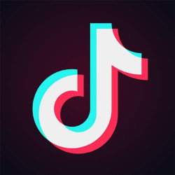 Установка TikTok Downloader
