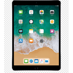 Срочная диагностика планшета Apple